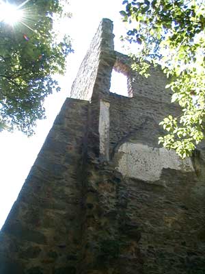 Burgruine Reichenau