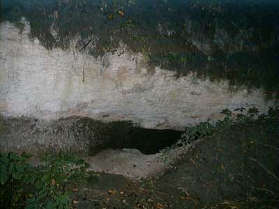 Ruine Dachsberg