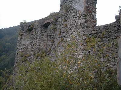 Ruine Scharnstein