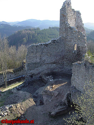 Burgruine Ruttenstein / Oberösterreich