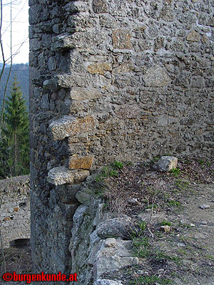 Burgruine Ruttenstein / Oberösterreich