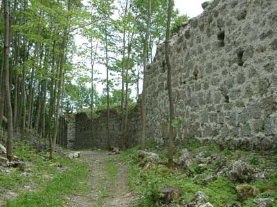 Ruine Ruttenstein