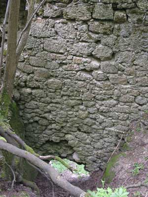 Ruine Ruttenstein