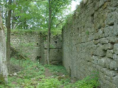 Ruine Ruttenstein