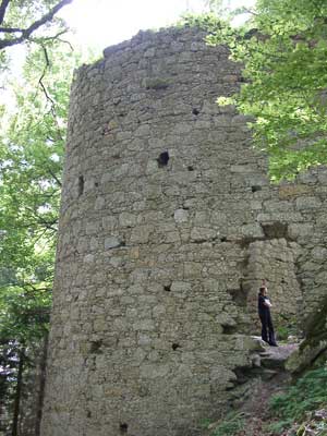 Ruine Ruttenstein