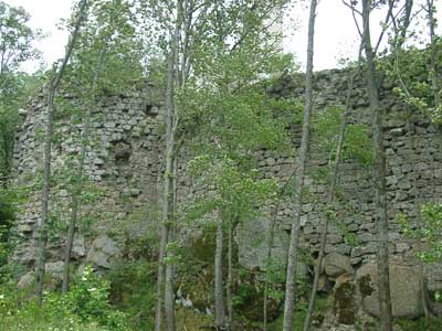 Ruine Ruttenstein