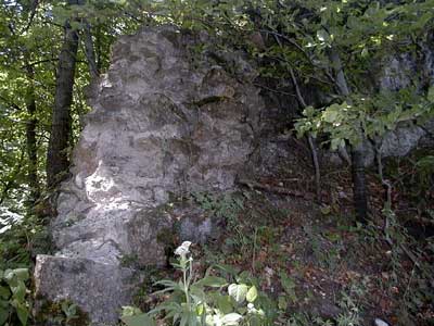 Ruine Säbnich