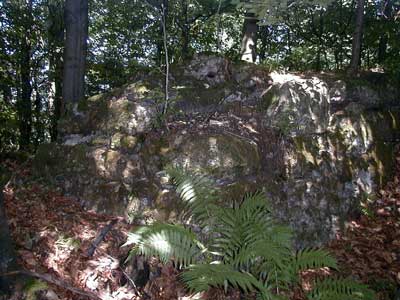 Ruine Säbnich