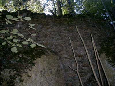 Ruine Saxenegg