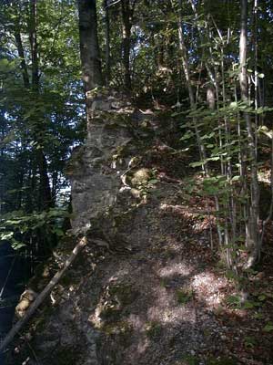 Ruine Saxenegg