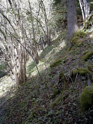 Ruine Schallenburg