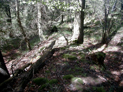 Ruine Schallenburg