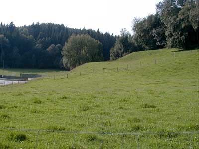 Ruine Steinbach