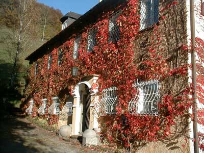 Ruine Dachsberg