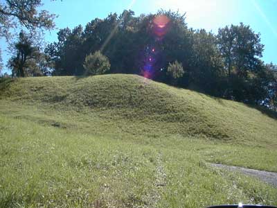 Ruine Wallsee