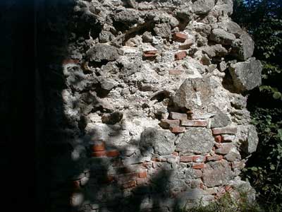 Ruine Wallsee