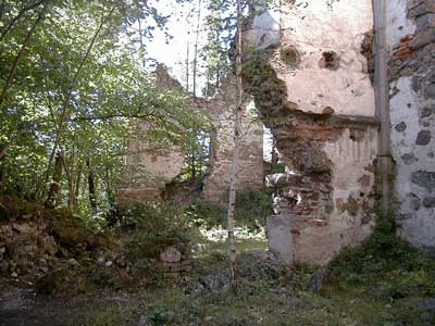 Ruine Wallsee