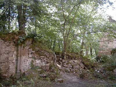 Ruine Wallsee