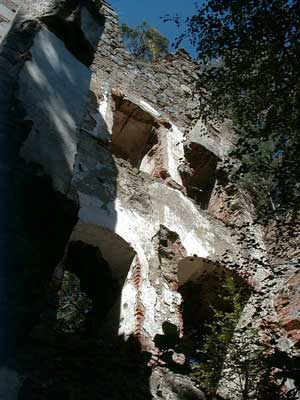 Ruine Wallsee