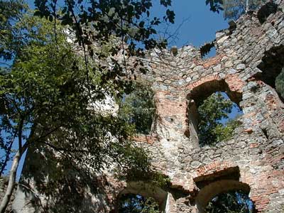 Ruine Wallsee