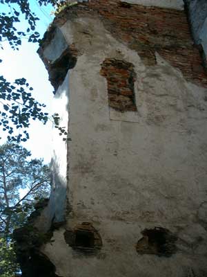 Ruine Wallsee