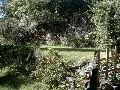 Ruine Wallsee