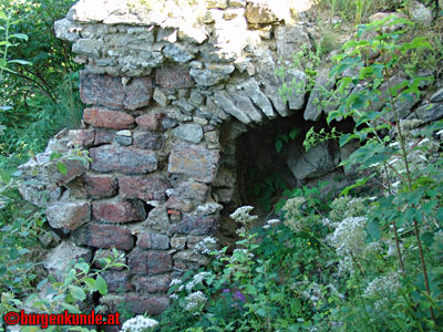 Ruine Waxenberg / Oberösterreich