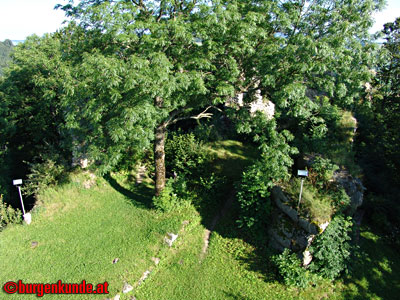 Ruine Waxenberg / Oberösterreich