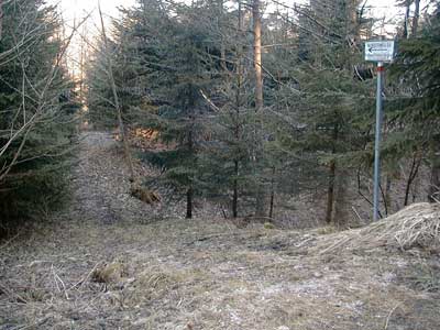 Ruine Wildeneck