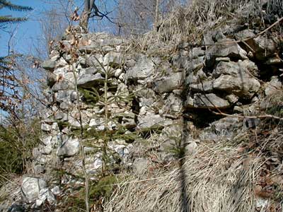 Ruine Wildeneck