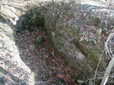 Ruine Wildeneck