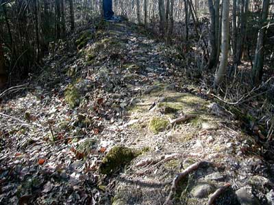 Ruine Wildeneck