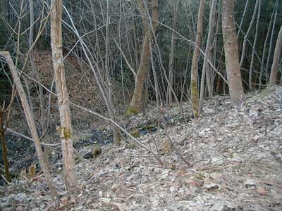 Ruine Wildeneck