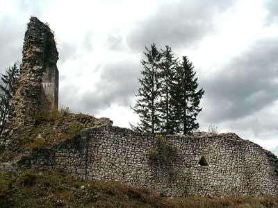 Ruine Wildenstein