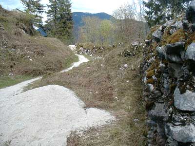 Ruine Wildenstein