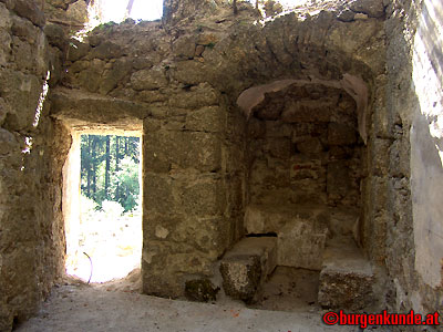 Ruine Windhaag / Oberösterreich